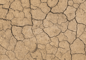 Piedmont Region: Expansive Clay Soils 